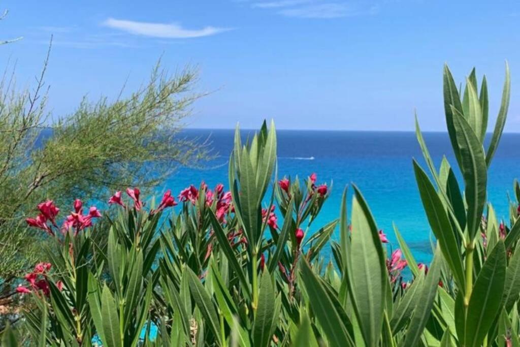 Boutique Apartment With Beach Within Walking Distance, Near Tropea Parghelia Esterno foto